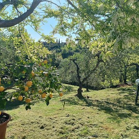Le Massucce San Casciano in Val di Pesa Extérieur photo