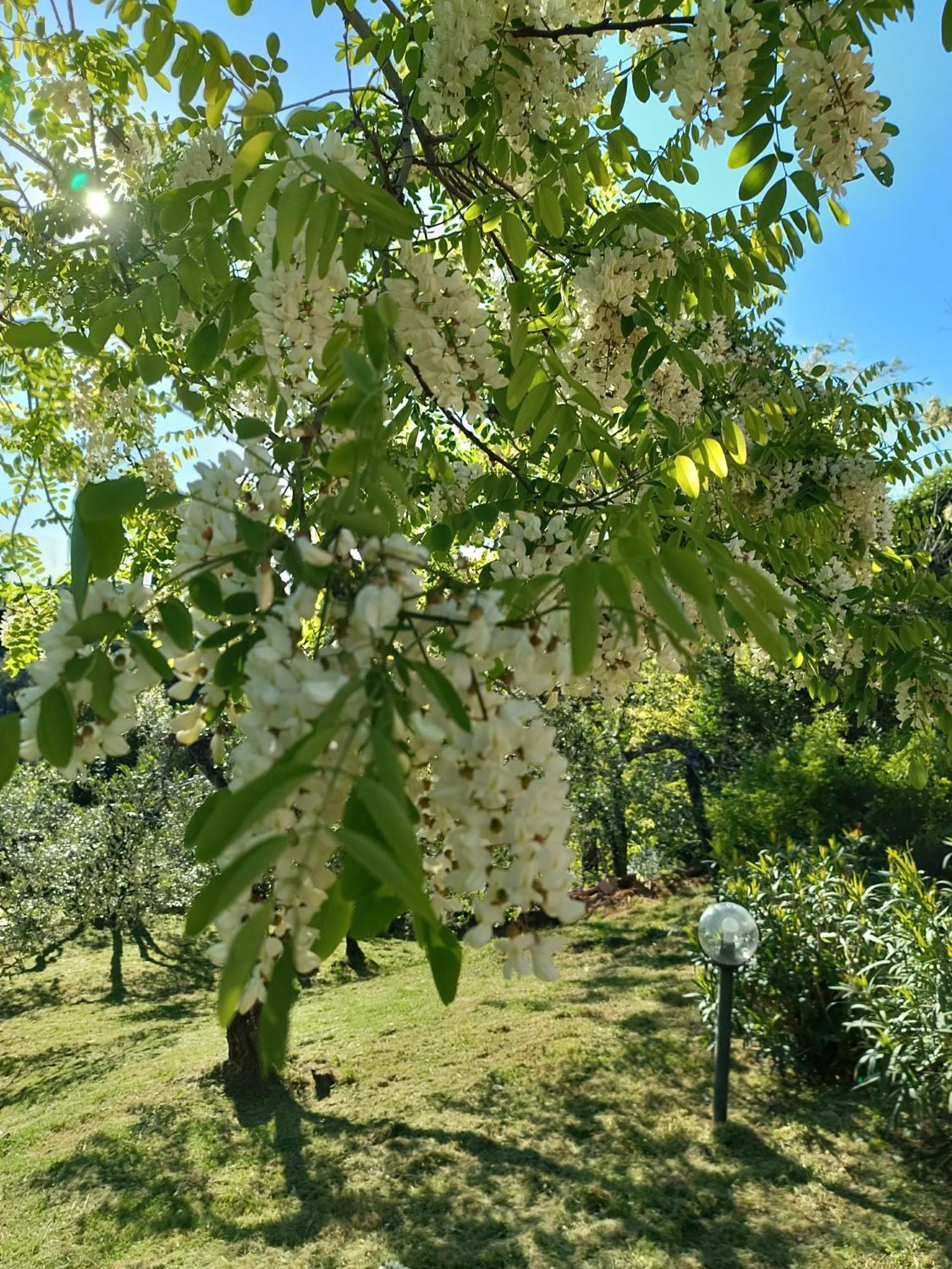 Le Massucce San Casciano in Val di Pesa Extérieur photo