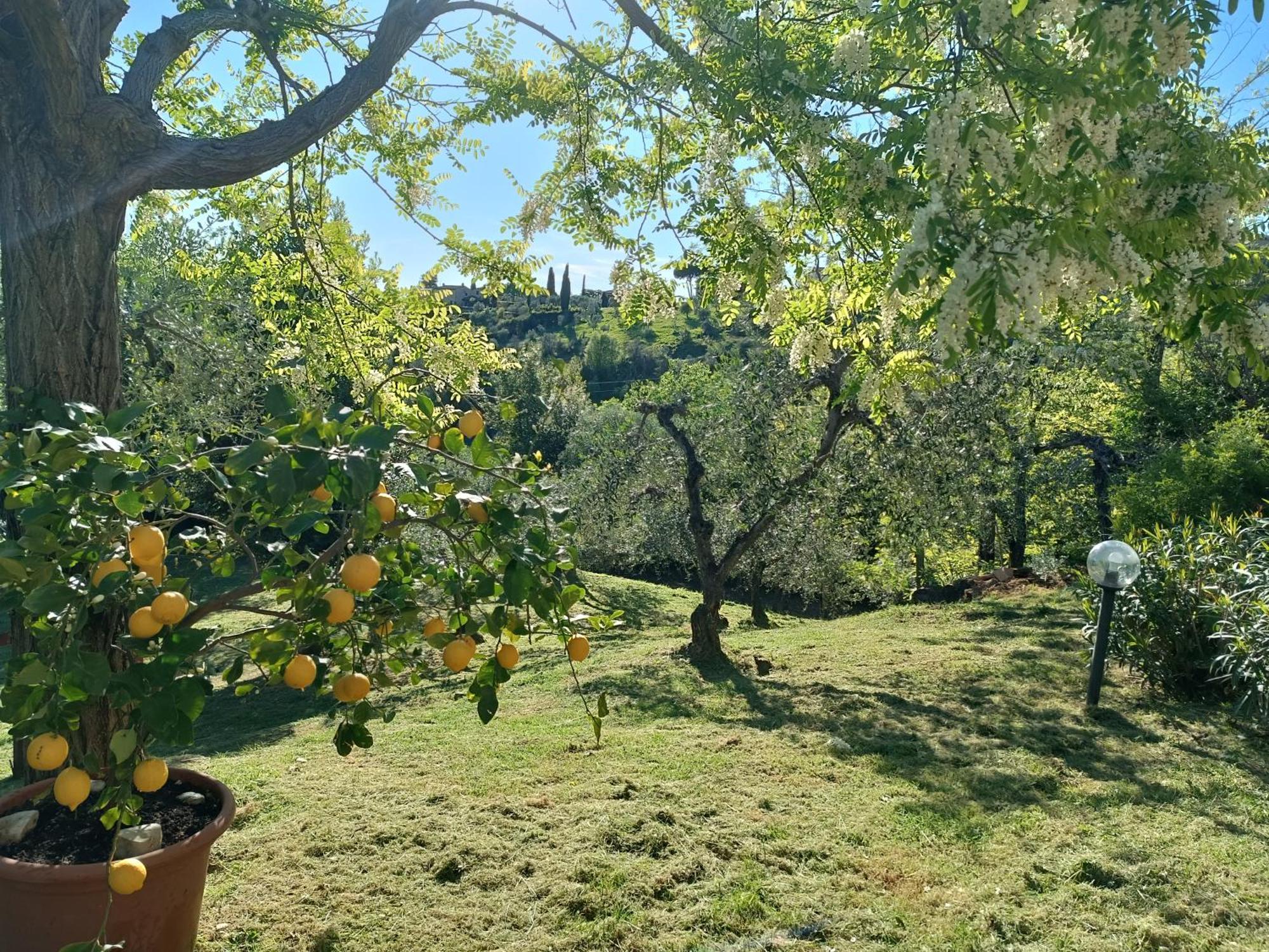 Le Massucce San Casciano in Val di Pesa Extérieur photo