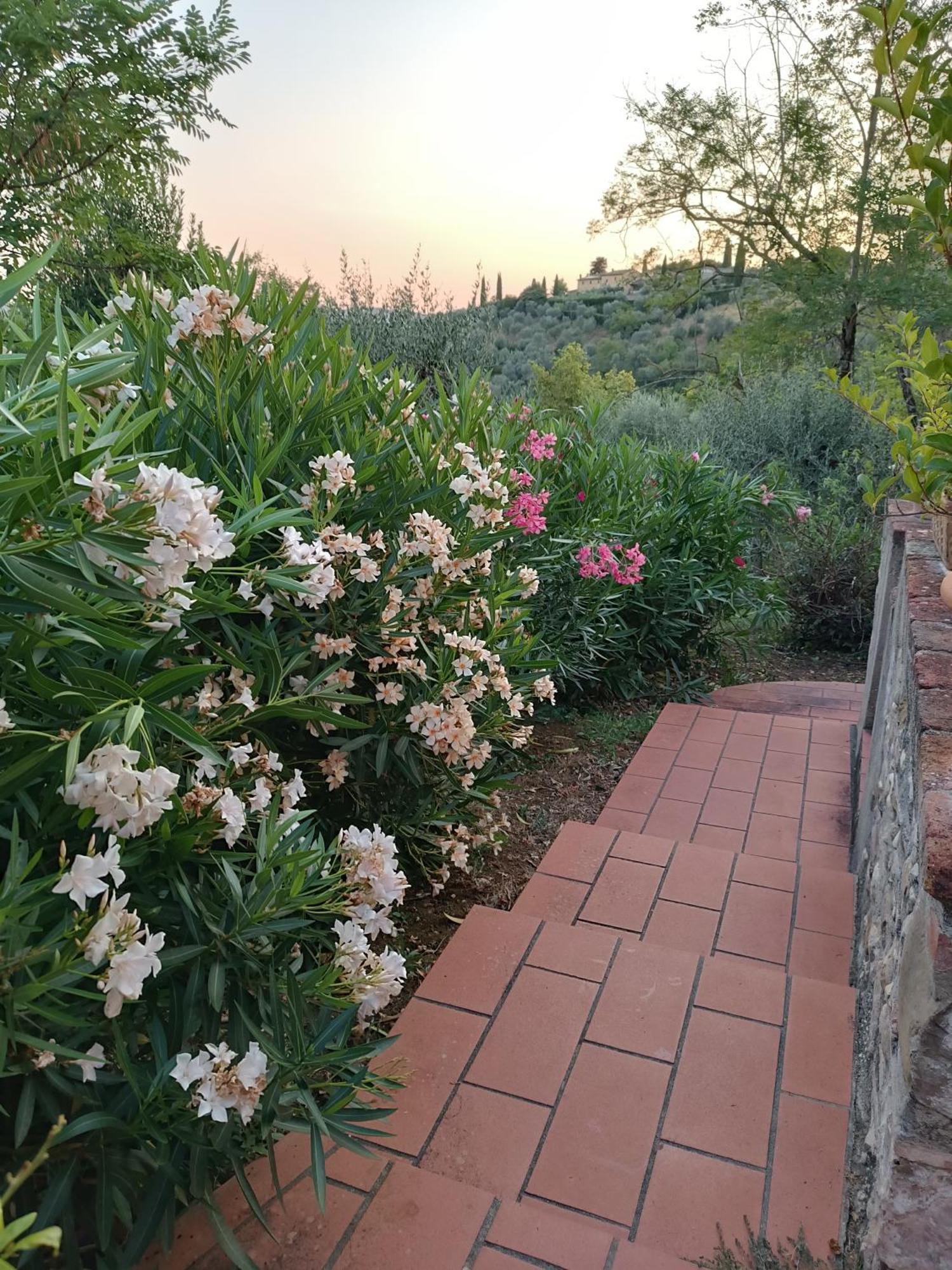 Le Massucce San Casciano in Val di Pesa Extérieur photo