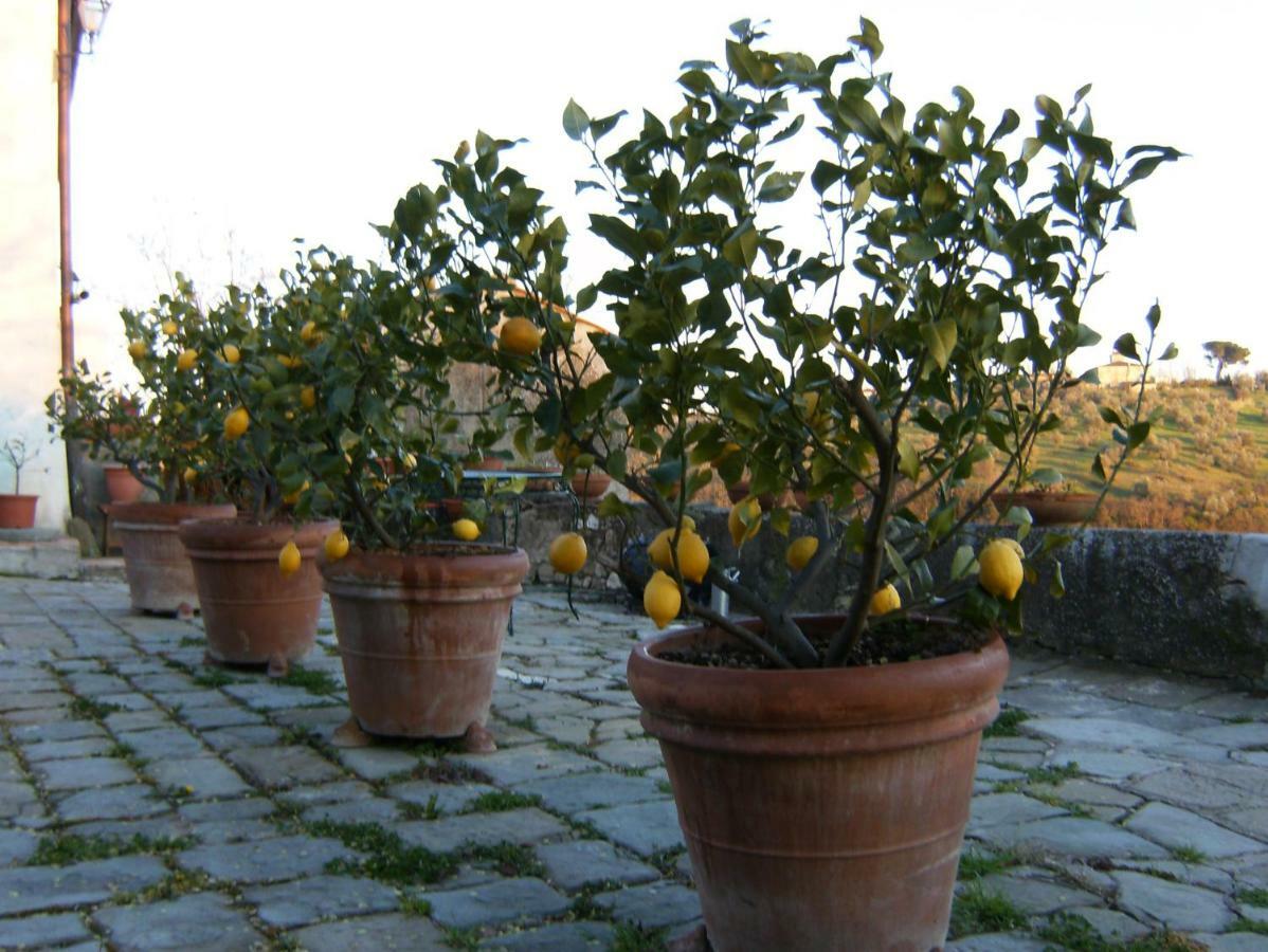 Le Massucce San Casciano in Val di Pesa Extérieur photo