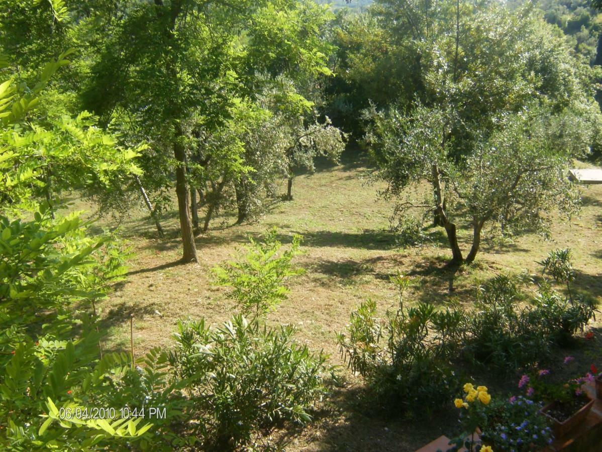 Le Massucce San Casciano in Val di Pesa Extérieur photo