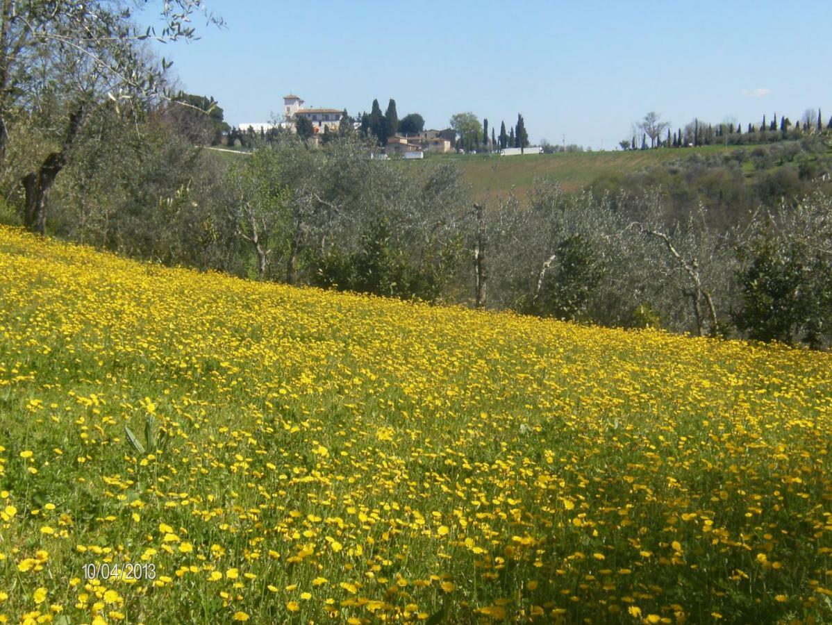 Le Massucce San Casciano in Val di Pesa Extérieur photo