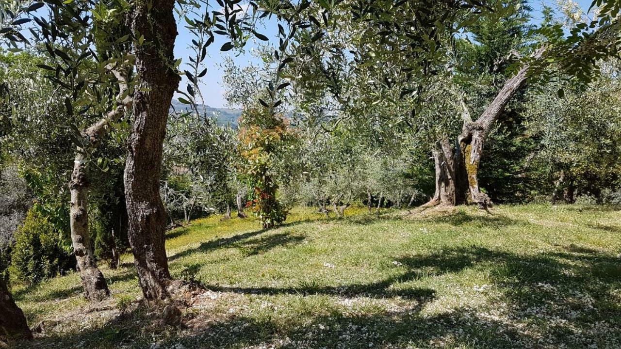 Le Massucce San Casciano in Val di Pesa Extérieur photo